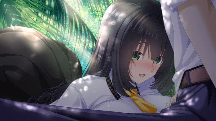 【ADV/AI汉化/CV】南国监狱～关于漂流到的无人岛变成了不生孩子就无法离开的岛这件事～【PC/1.4G】